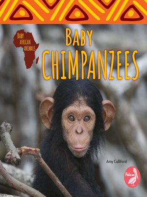 cover image of Baby Chimpanzees